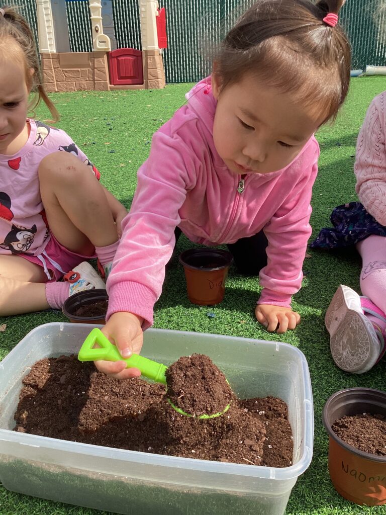 Preschool Education Benefits That Shape a Child’s Future Success