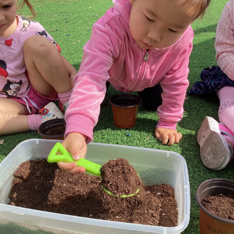 Preschool Education Benefits That Shape a Child’s Future Success